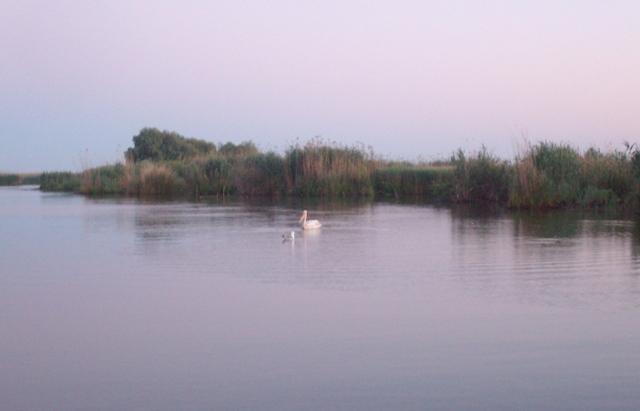 Delta forever - sany6768.JPG